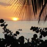 Top 5 Summer Vacation Weight Loss Tips