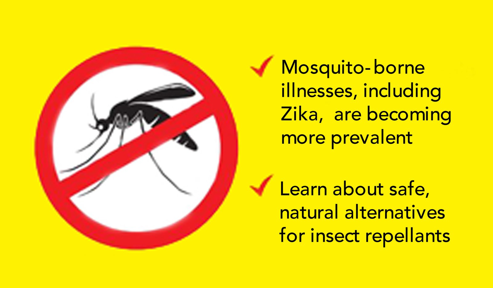 How to Protect Yourself and Your Family from the Zika Virus Naturally